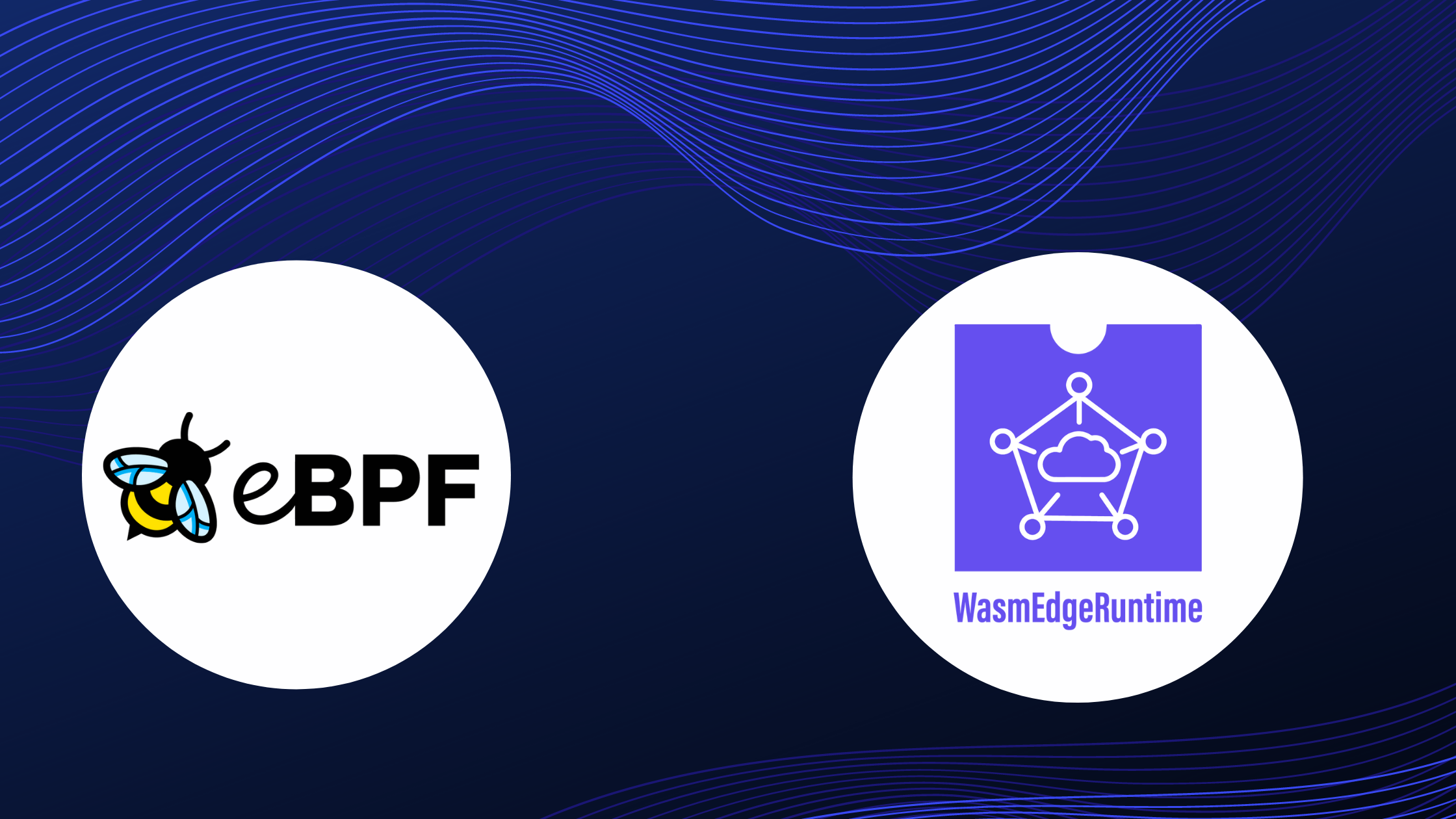 eBPF vs. WebAssembly